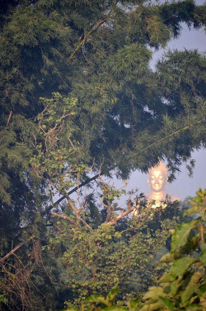 A glimpse of a giant Buddha through the trees while at Jetavana
