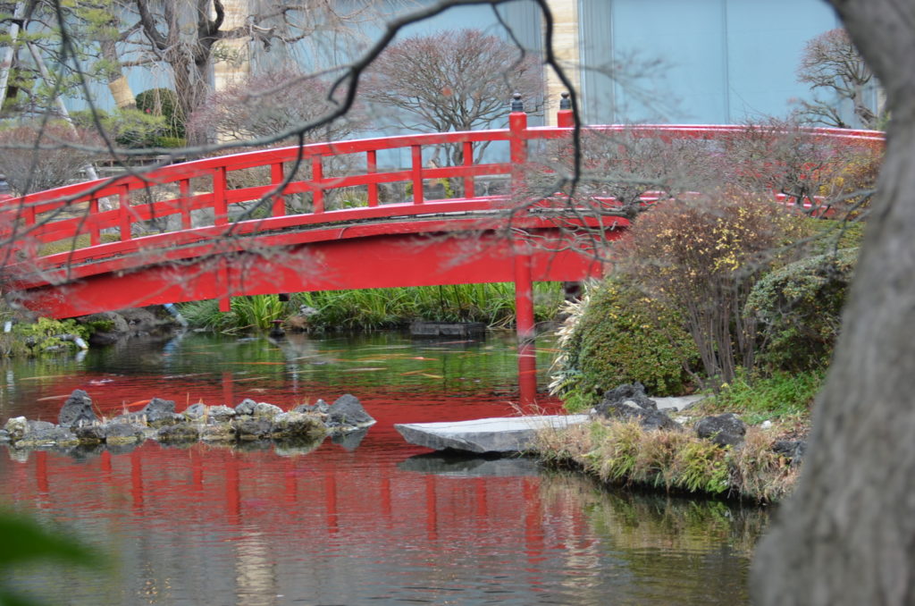 Japanese Bridge in a Japanese Garden