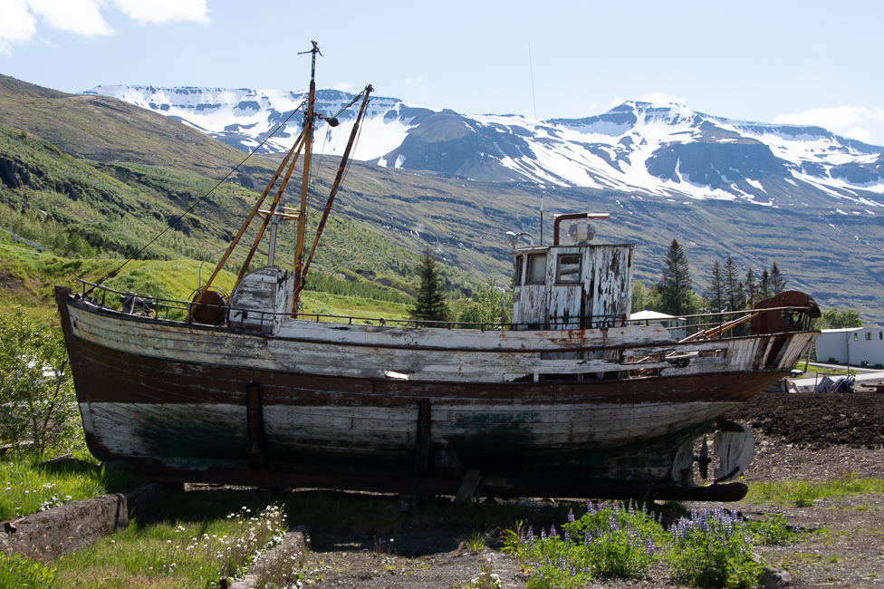 Farming in Iceland