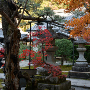 Momiji-gari at Nanzenji Temple