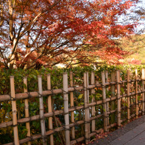 Japanese Fences