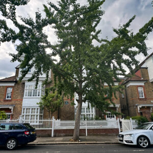 Bedford Park and Highgate Cemetery