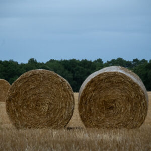 Visiting Britanny Between Cairns, Tumulus and Dolmen