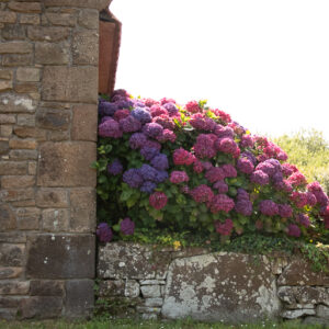 The Pink Granite Coast - Brittany