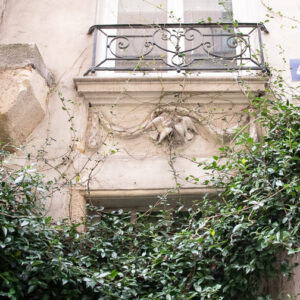 Exploring the 4th Arrondissement