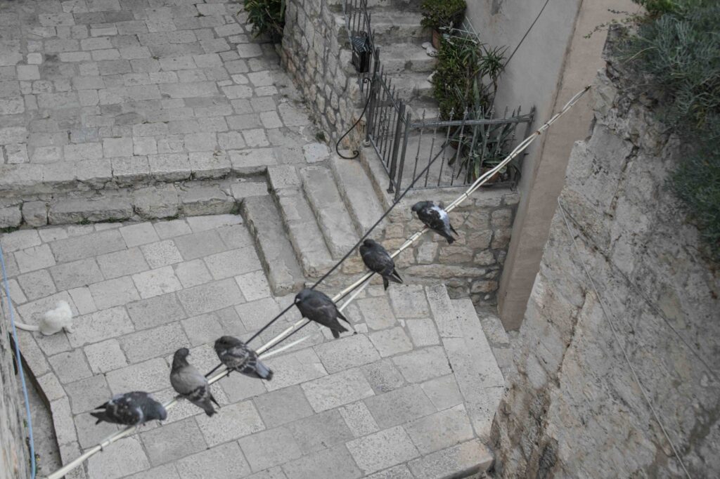 Walls