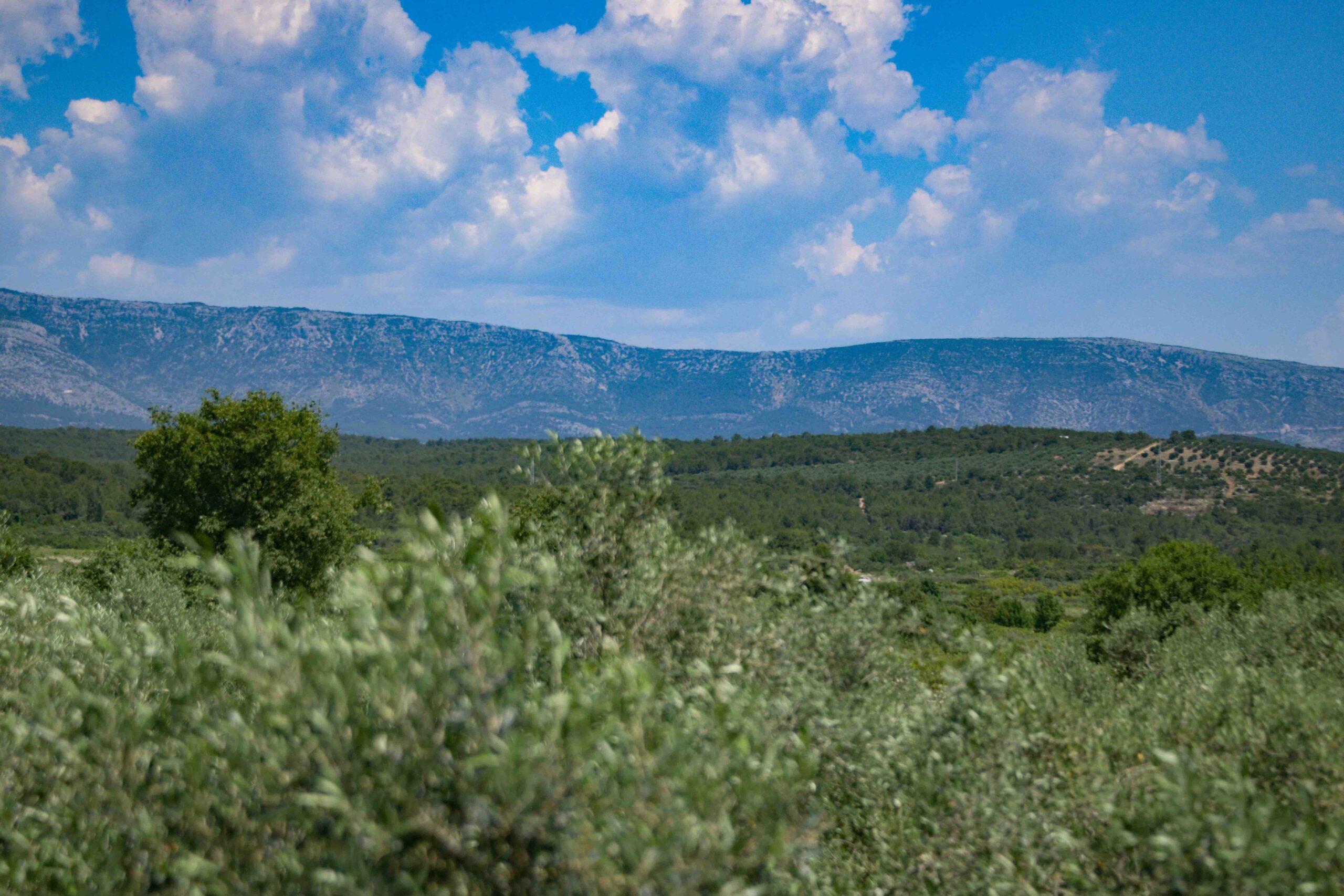 Stari Grad Plain