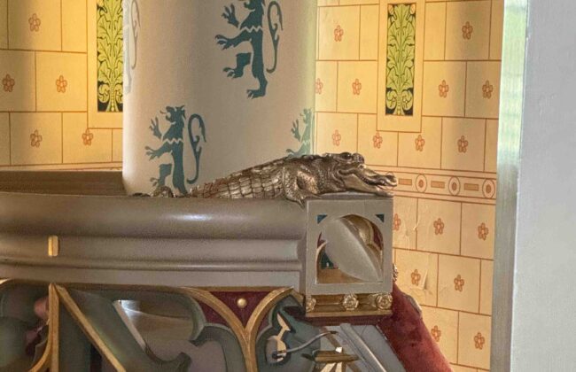 Alligator