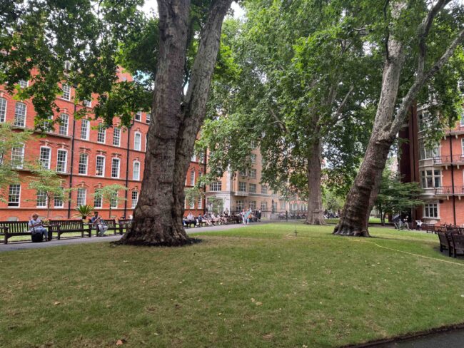 Mount Street Gardens