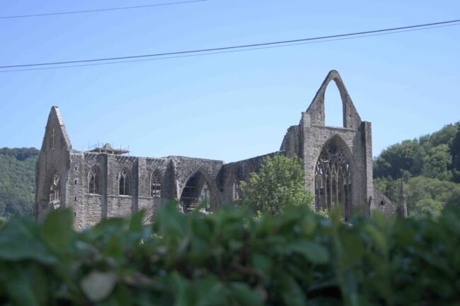 Tintern